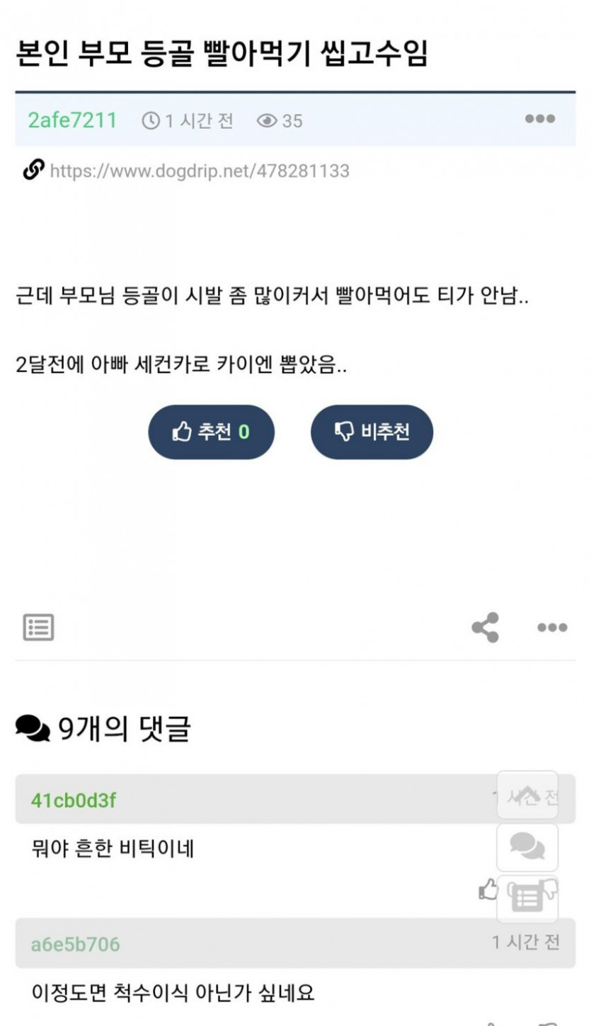 본문 이미지